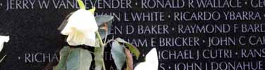 Vietnam Veterans Memorial